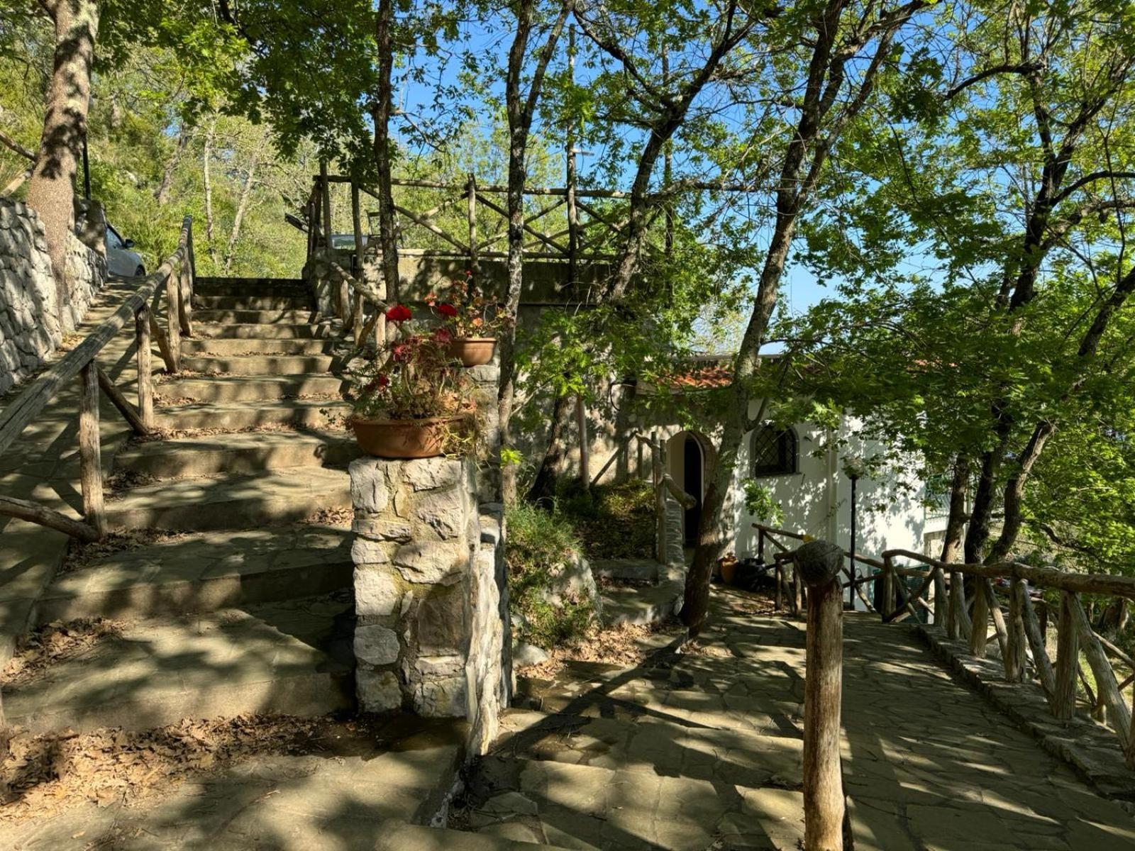 Bed and Breakfast Groove'N'Grove SantʼAgata sui Due Golfi Exteriér fotografie